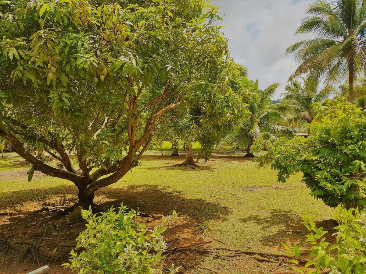 Villa Huahine - Tipanier House à Haapu Extérieur photo